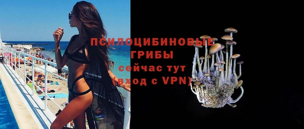 соль курить ск Алзамай