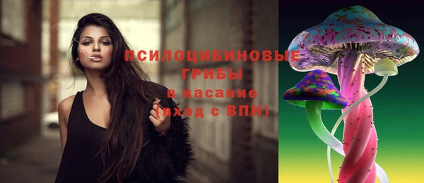соль курить ск Алзамай
