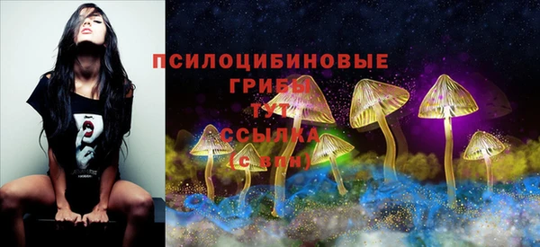герыч Алексин