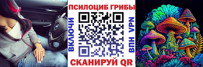 Галлюциногенные грибы мицелий  где купить наркотик  Жуковка 